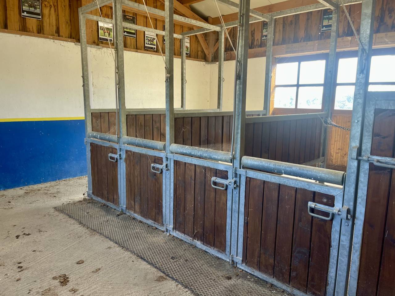 Hippisch vastgoed Koop Orne