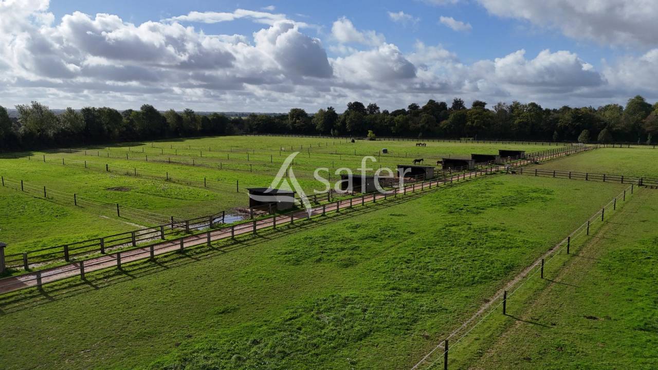 Hippisch vastgoed Koop Calvados