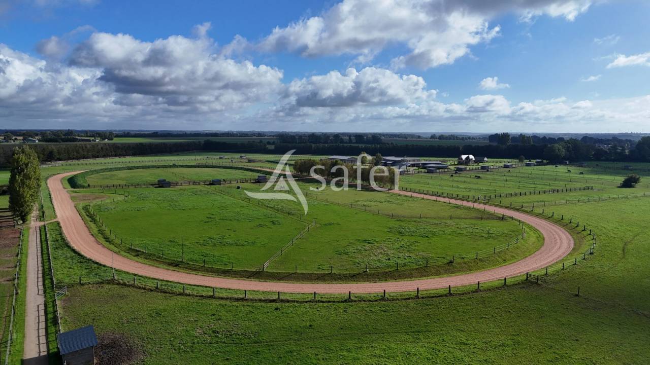 Hippisch vastgoed Koop Calvados