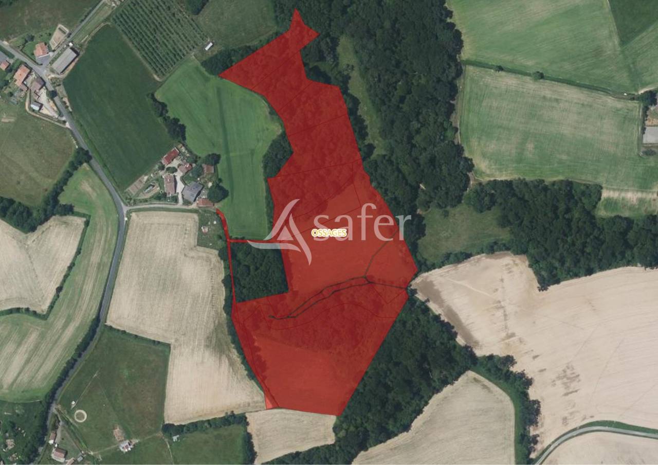 Landbouw bedrijf Koop Landes