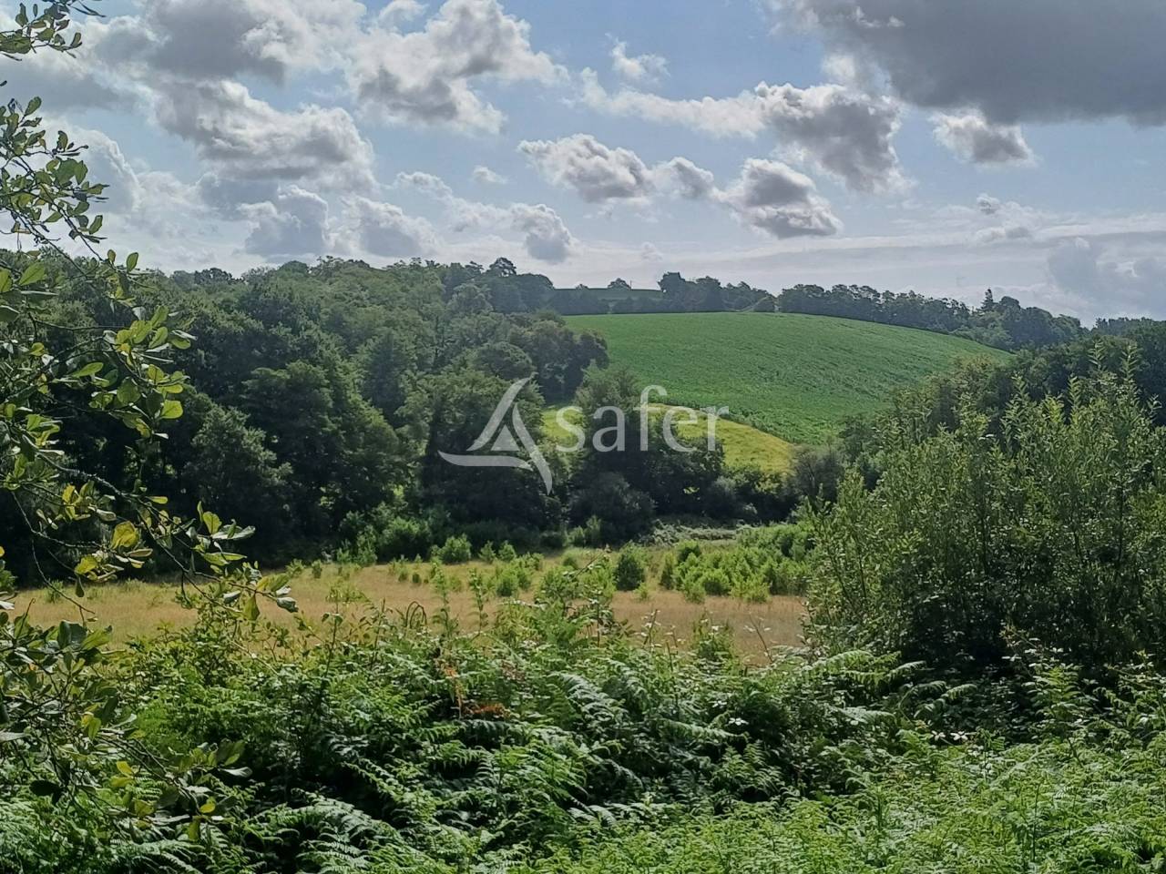 Landbouw bedrijf Koop Landes