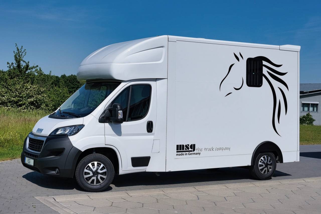 Kleine paardenvrachtwagen (B rijbewijs) Autre marque PEUGEOT 0 Nieuw