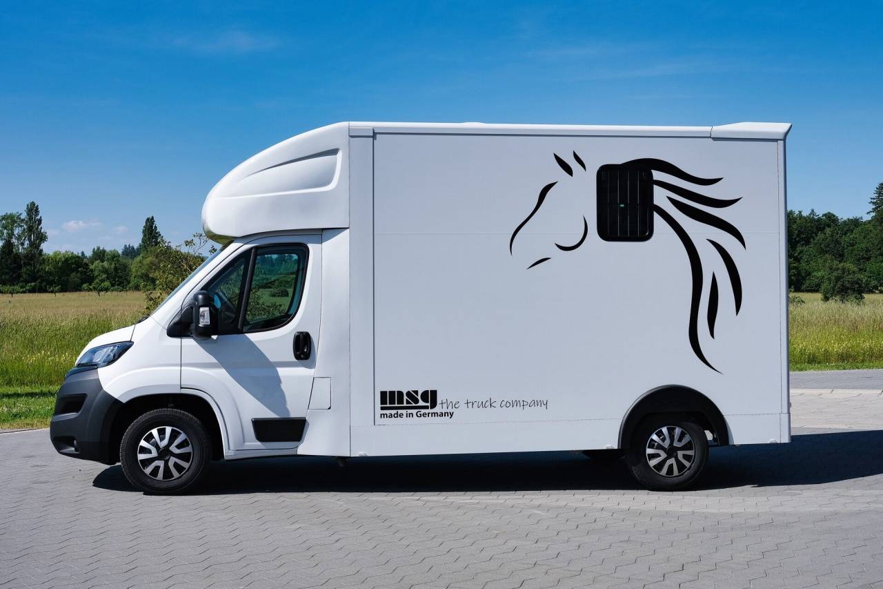 Kleine paardenvrachtwagen (B rijbewijs) Autre marque PEUGEOT 0 Nieuw