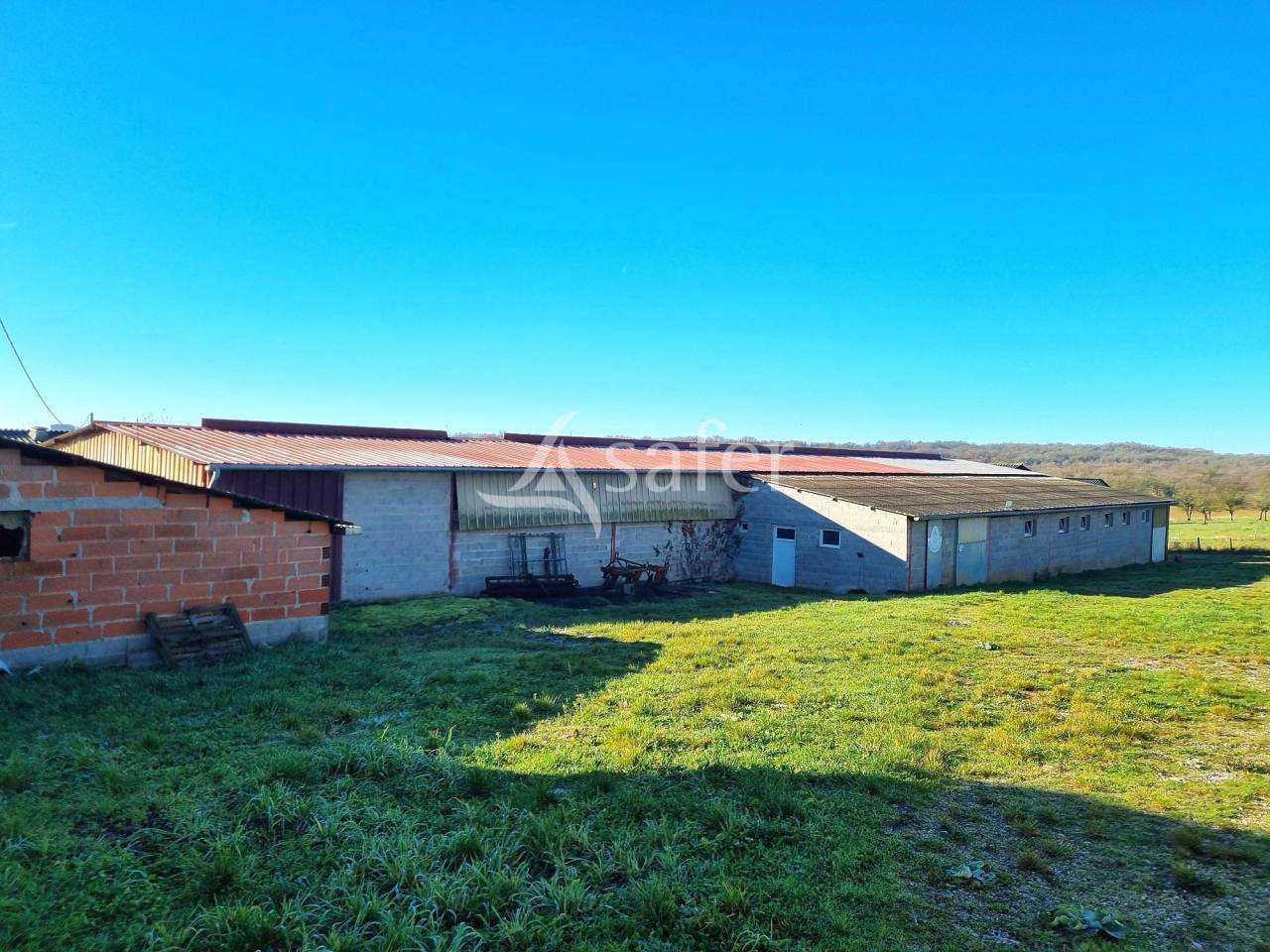 Schapen exploitatie Koop Tarn-et-Garonne