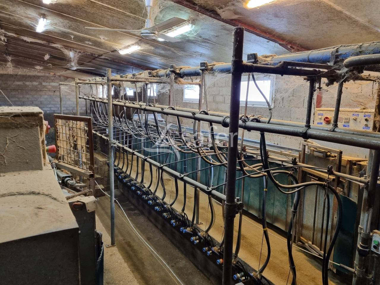 Schapen exploitatie Koop Tarn-et-Garonne