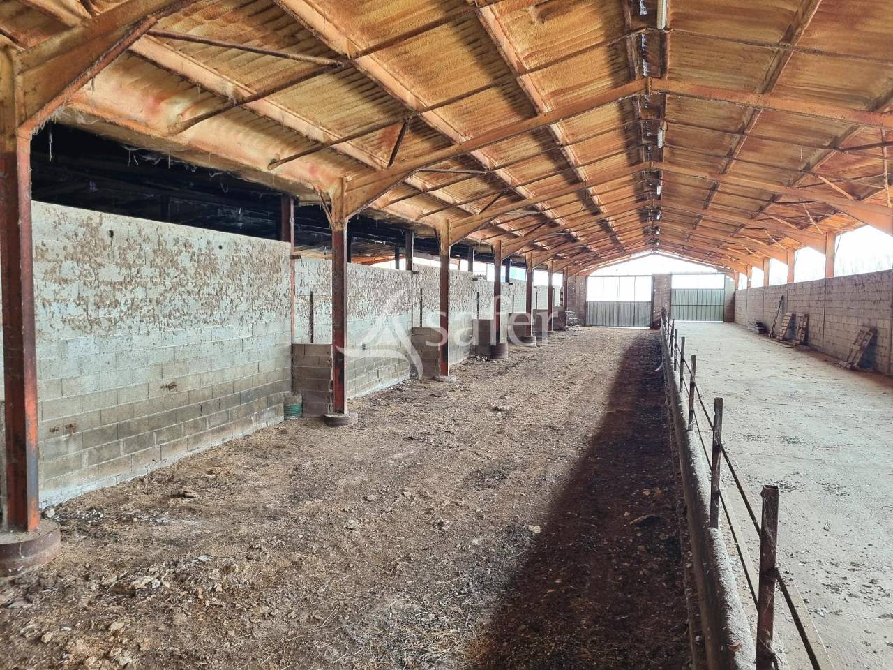 Schapen exploitatie Koop Tarn-et-Garonne