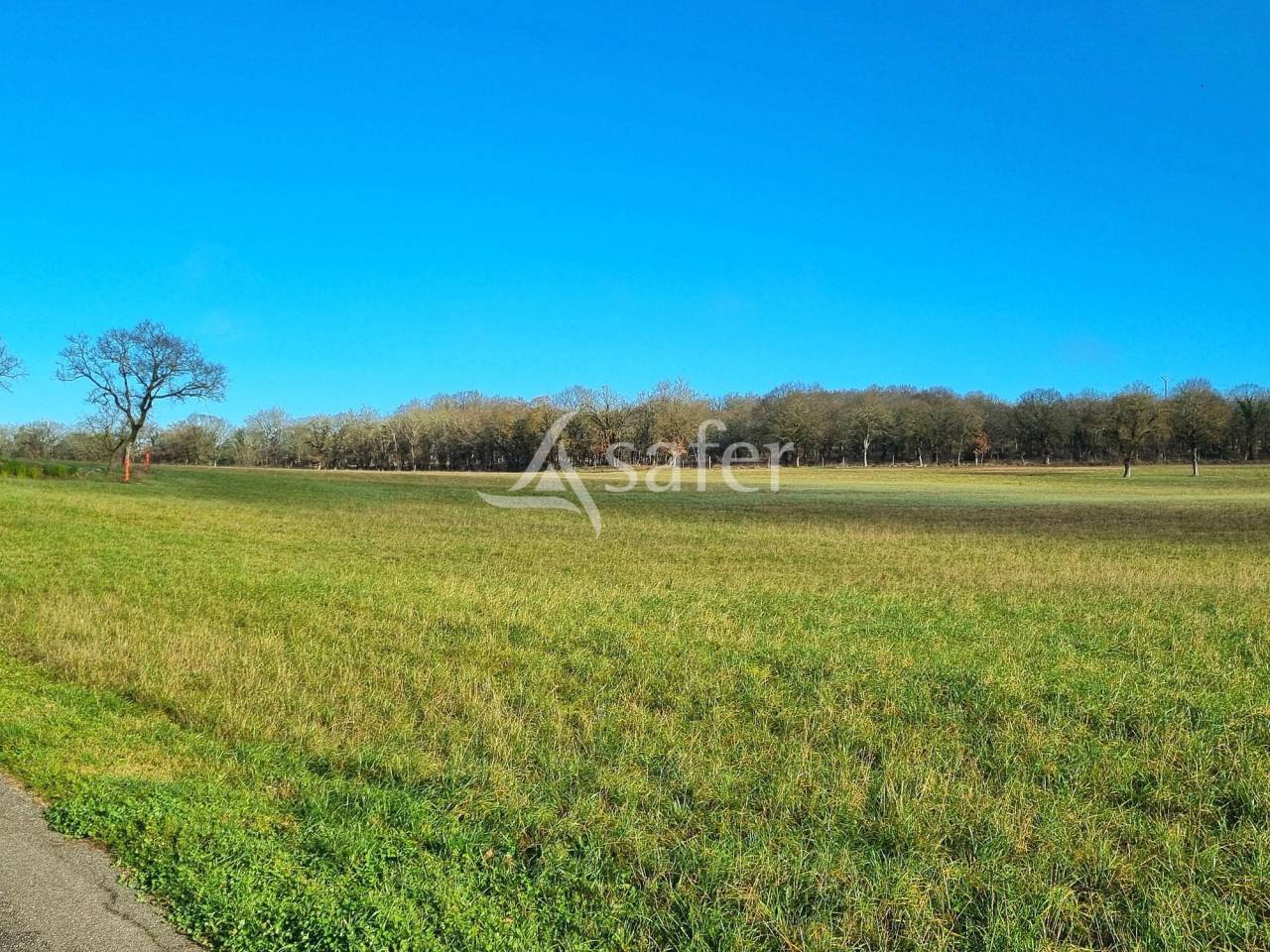 Schapen exploitatie Koop Tarn-et-Garonne