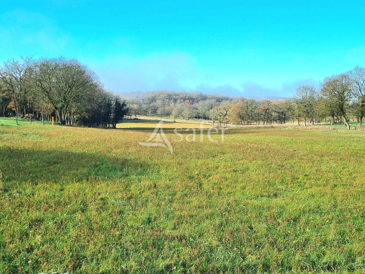 Schapen exploitatie Koop Tarn-et-Garonne