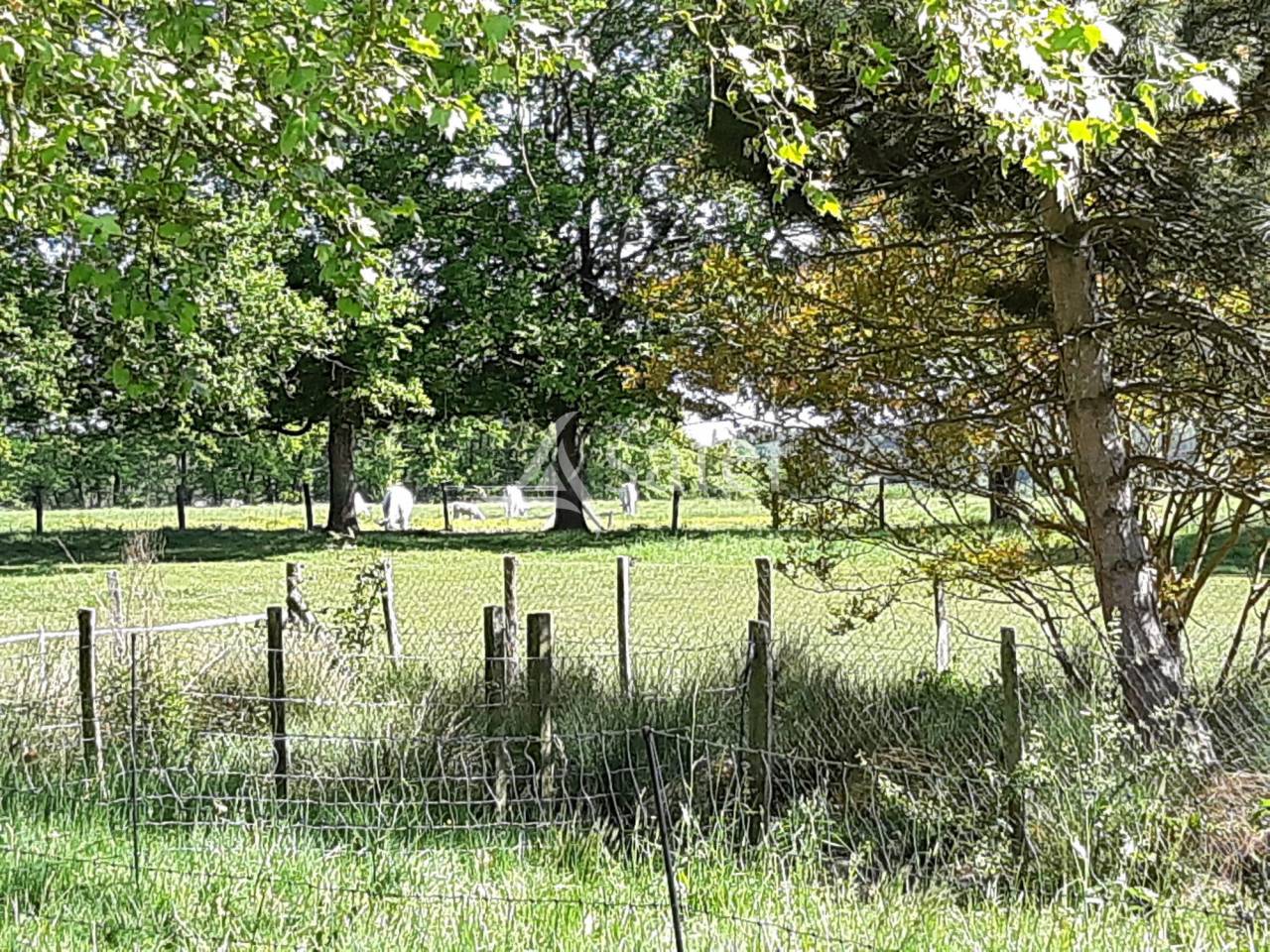 Landbouw bedrijf Koop Lot-et-Garonne