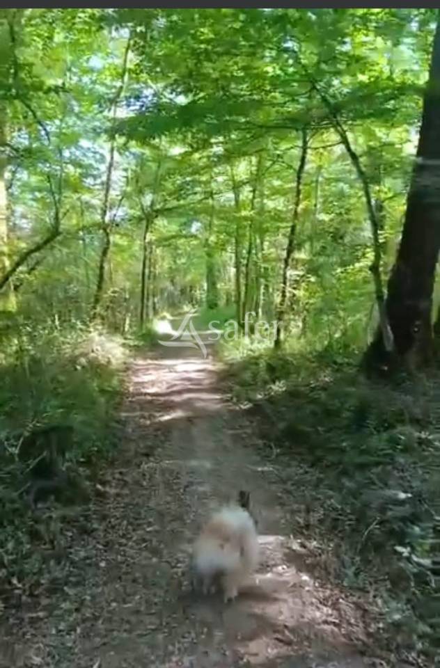 Landbouw bedrijf Koop Lot-et-Garonne