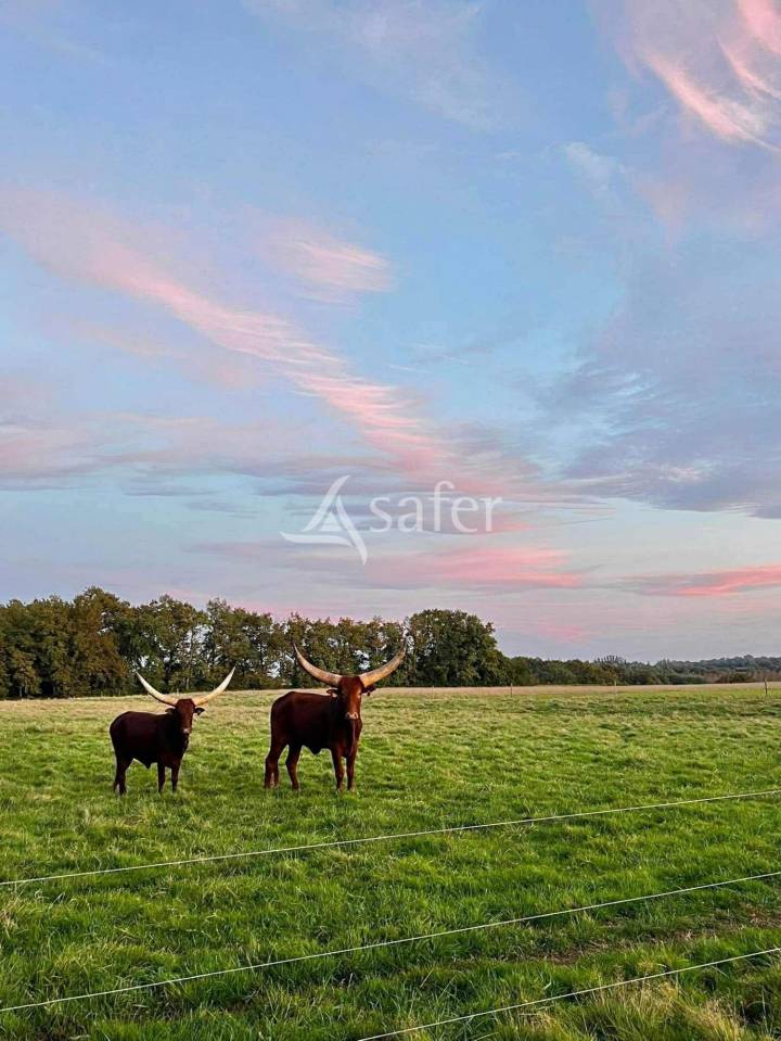 Landbouw bedrijf Koop Lot-et-Garonne