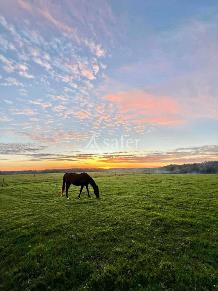Landbouw bedrijf Koop Lot-et-Garonne