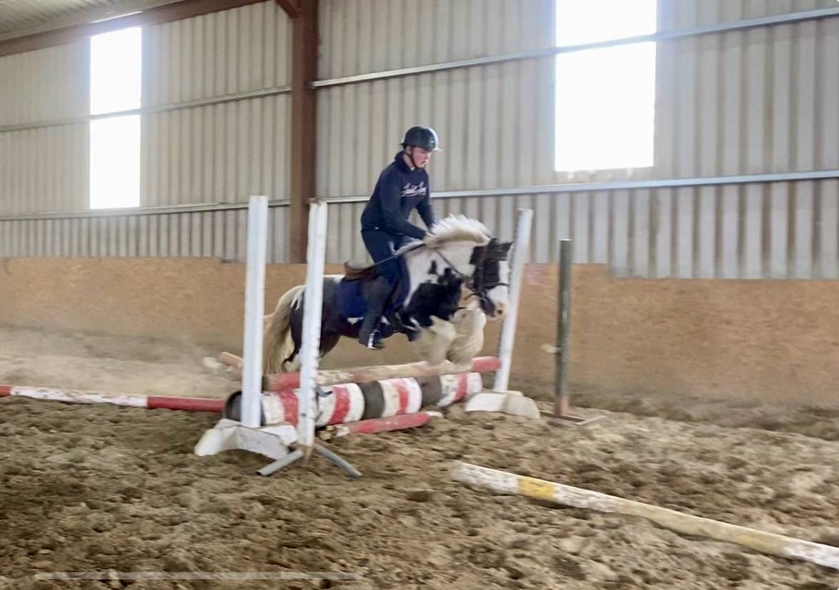 Ruin Ras onbekend Te koop 2015 Bont