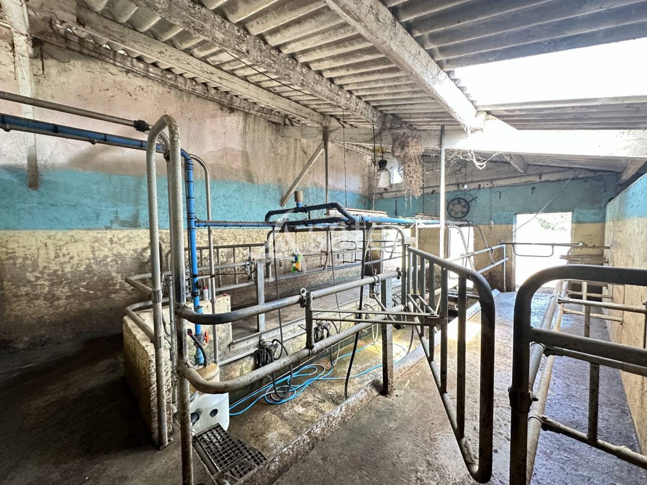 Melk exploitatie Koop Charente