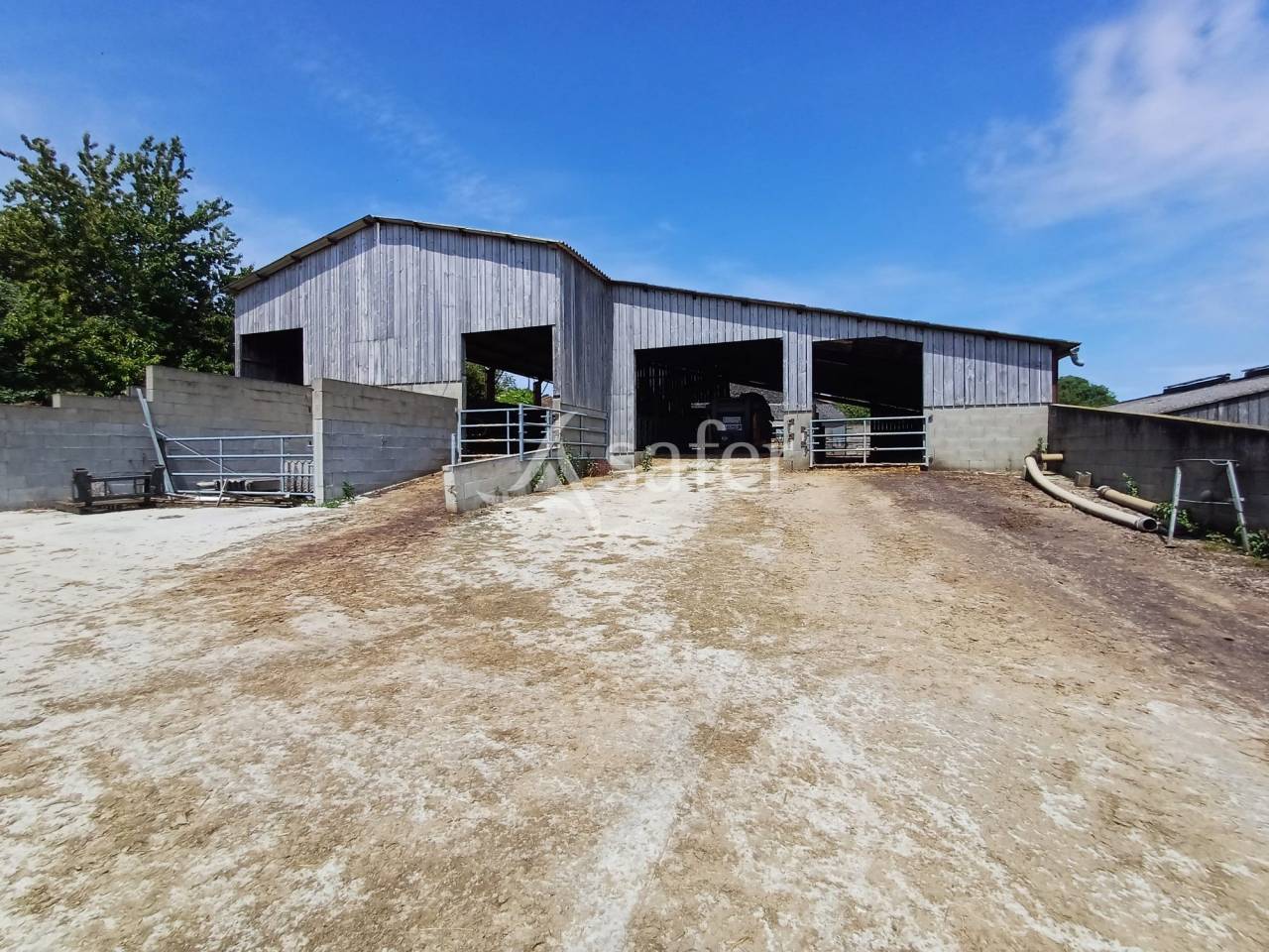 Melk exploitatie Koop Charente