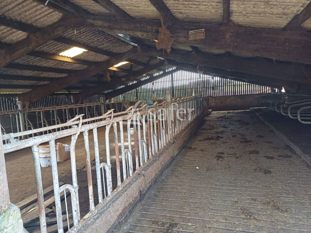 Melk exploitatie Koop Charente