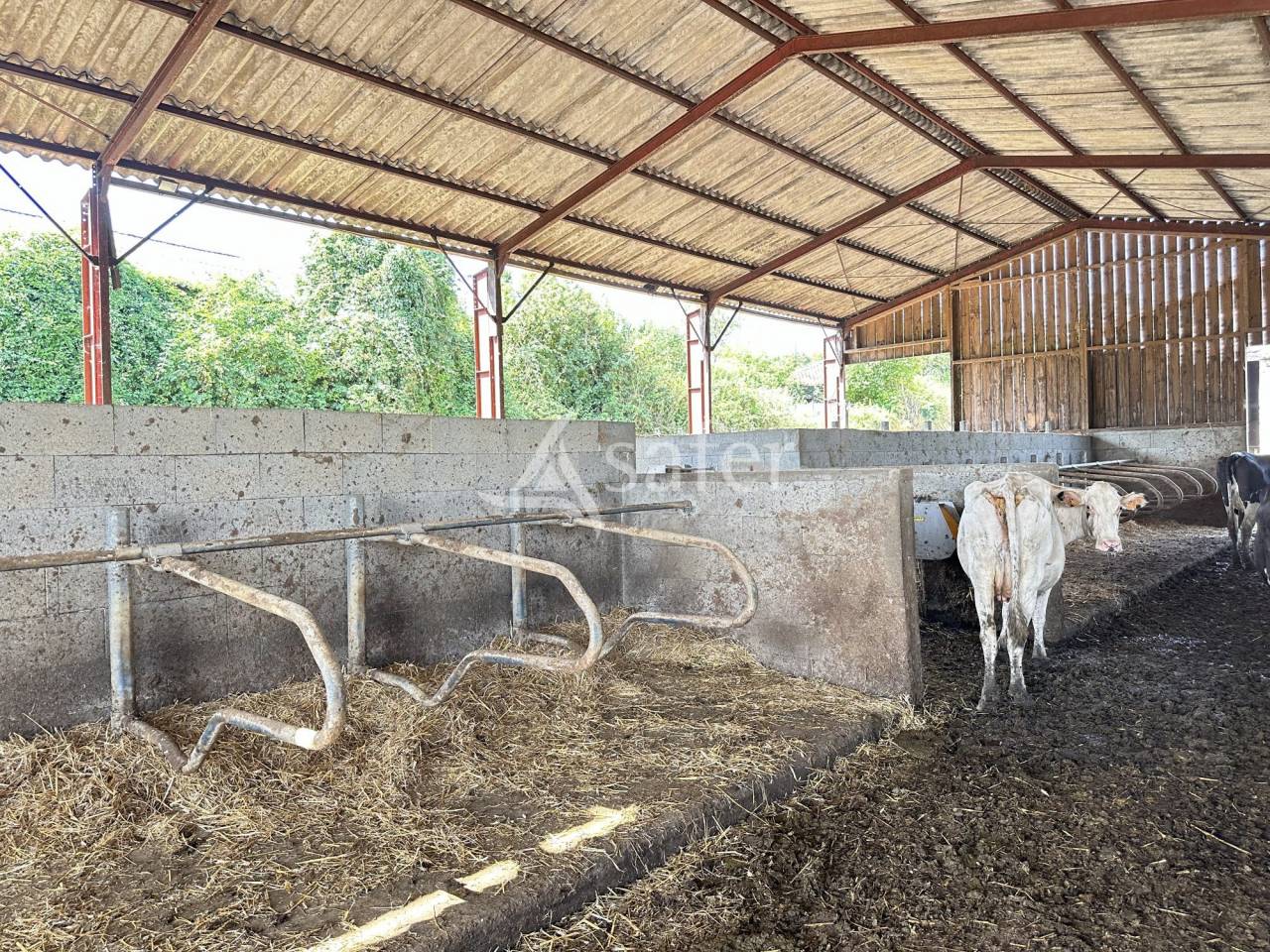 Melk exploitatie Koop Charente