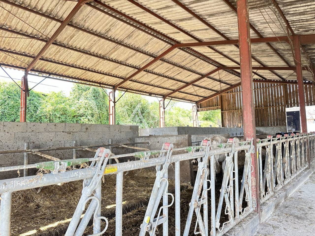 Melk exploitatie Koop Charente