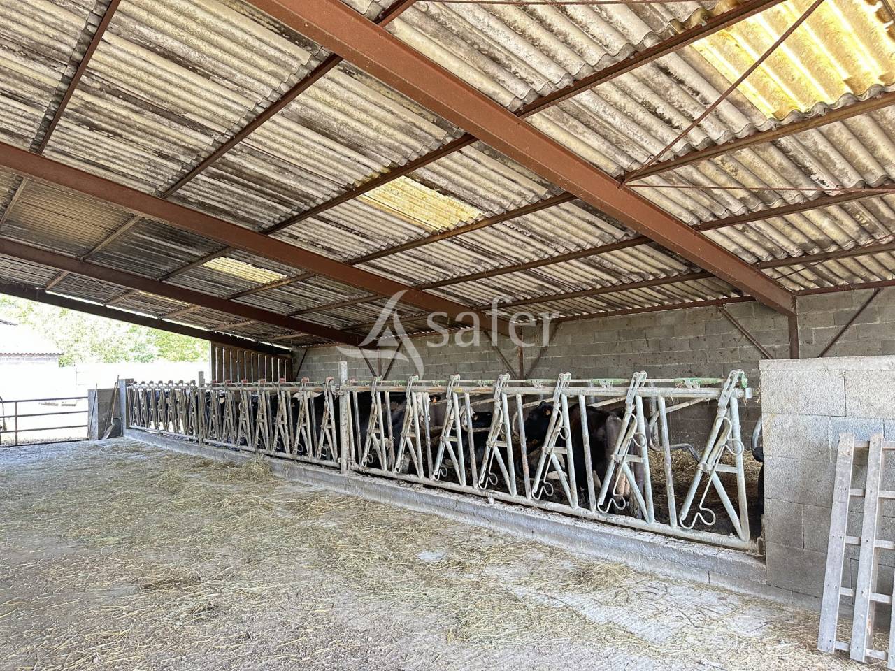 Melk exploitatie Koop Charente