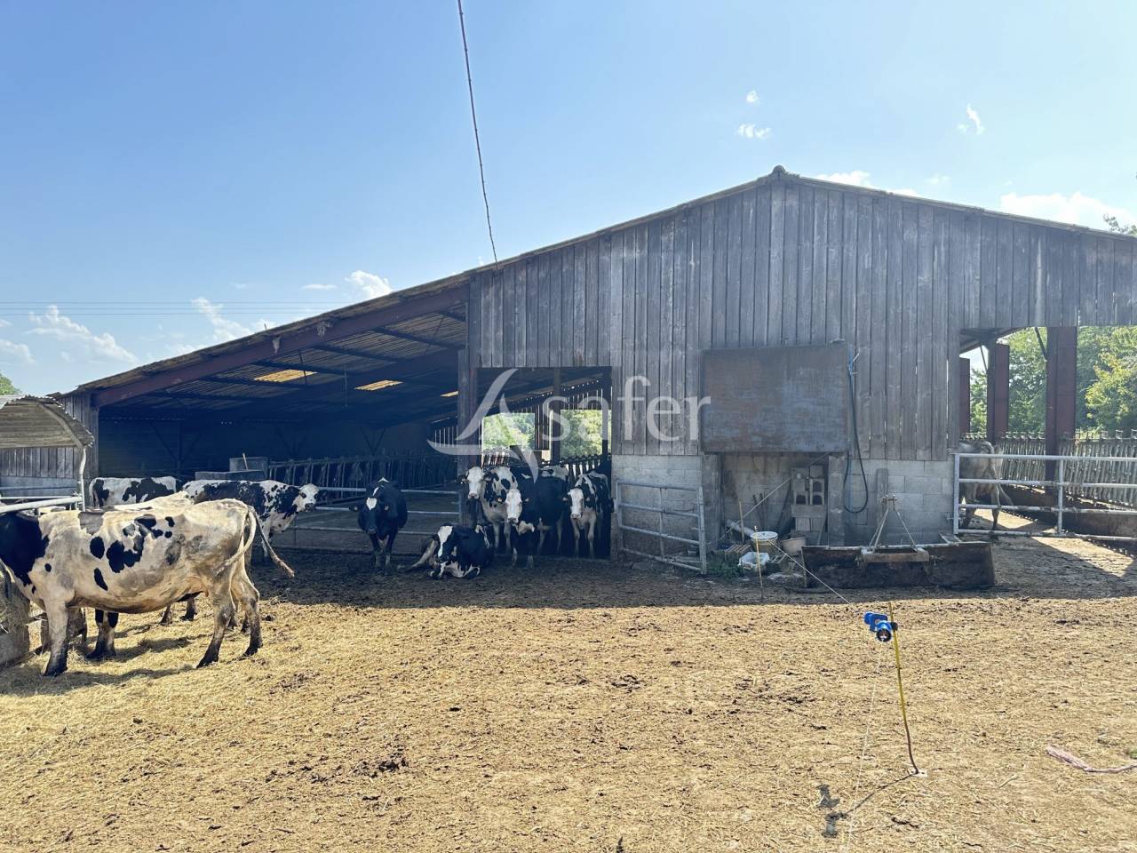 Melk exploitatie Koop Charente