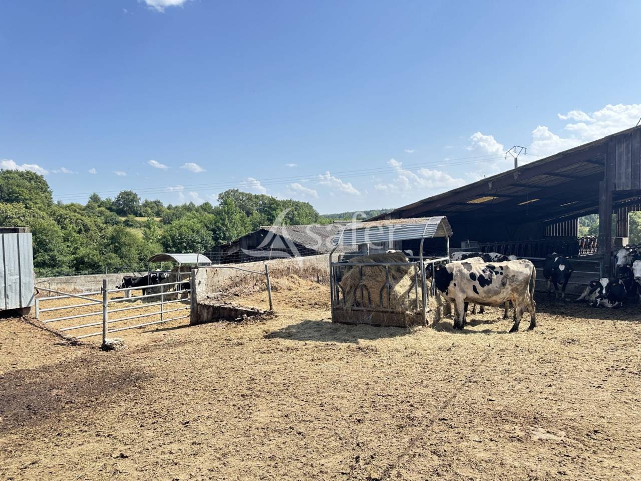Melk exploitatie Koop Charente