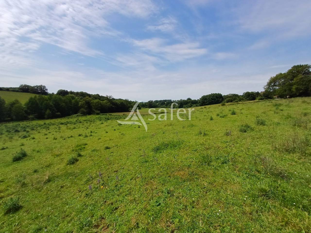 Melk exploitatie Koop Charente