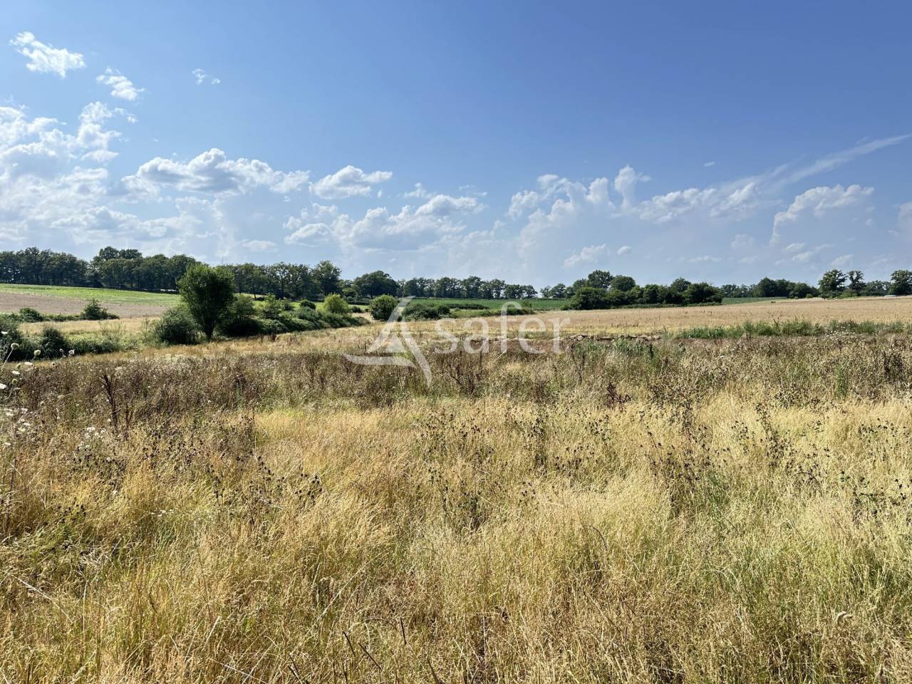 Melk exploitatie Koop Charente