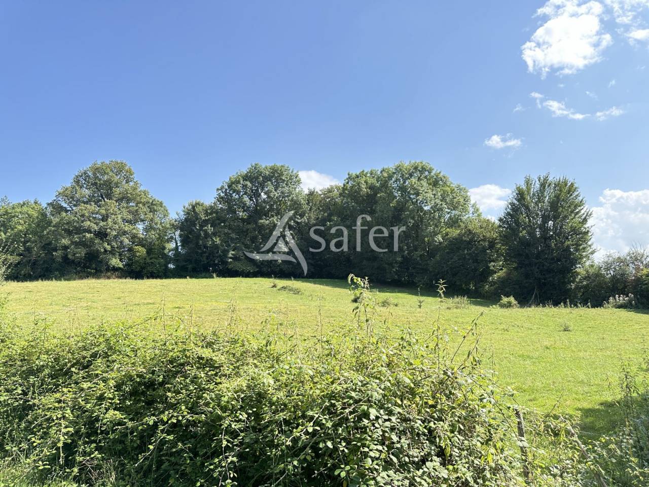 Melk exploitatie Koop Charente