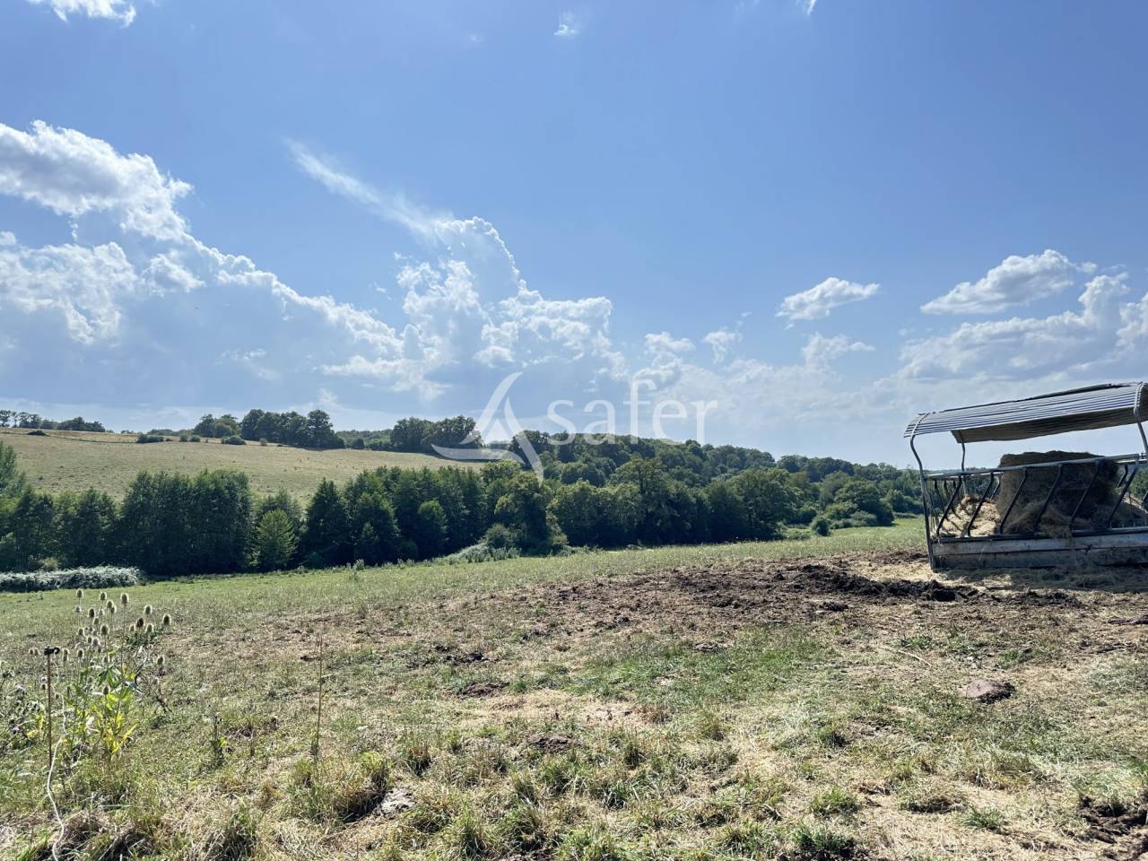 Melk exploitatie Koop Charente