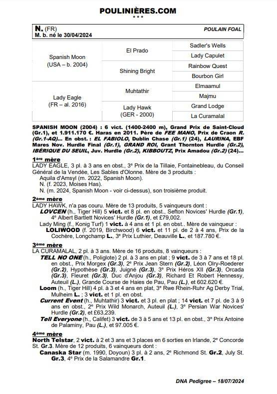 Veulen (ml) Volbloed Te koop 2024 Donker bruin / bai ,  Spanish Moon