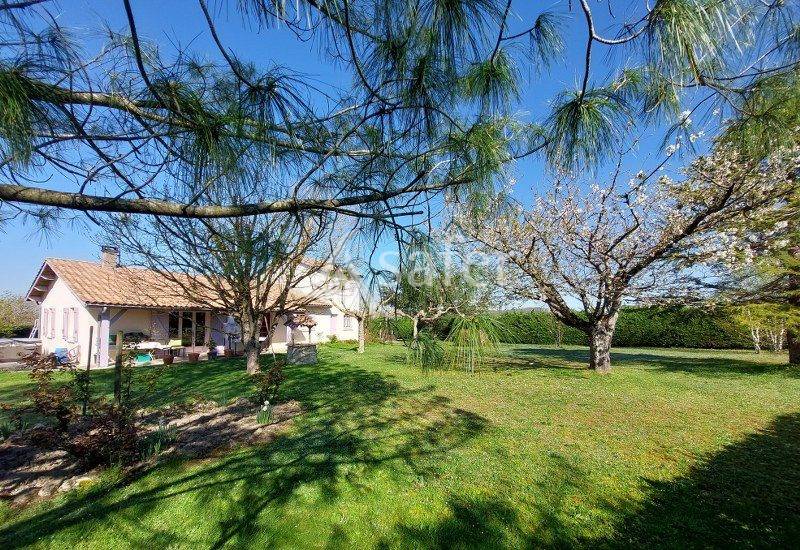 Schapen exploitatie Koop Gironde