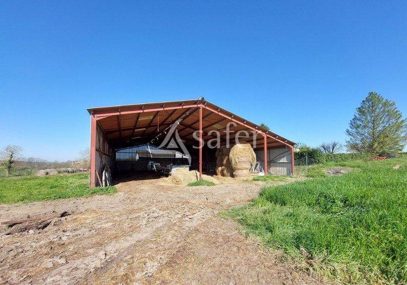 Schapen exploitatie Koop Gironde