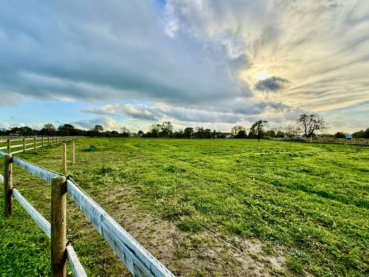 Stoeterij Koop Calvados