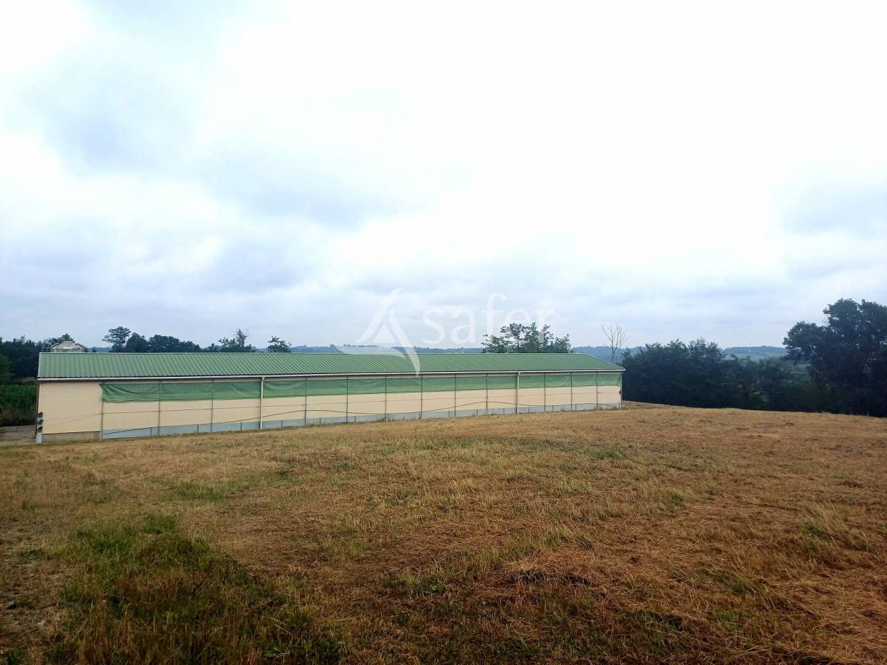 Landbouw bedrijf Koop Landes