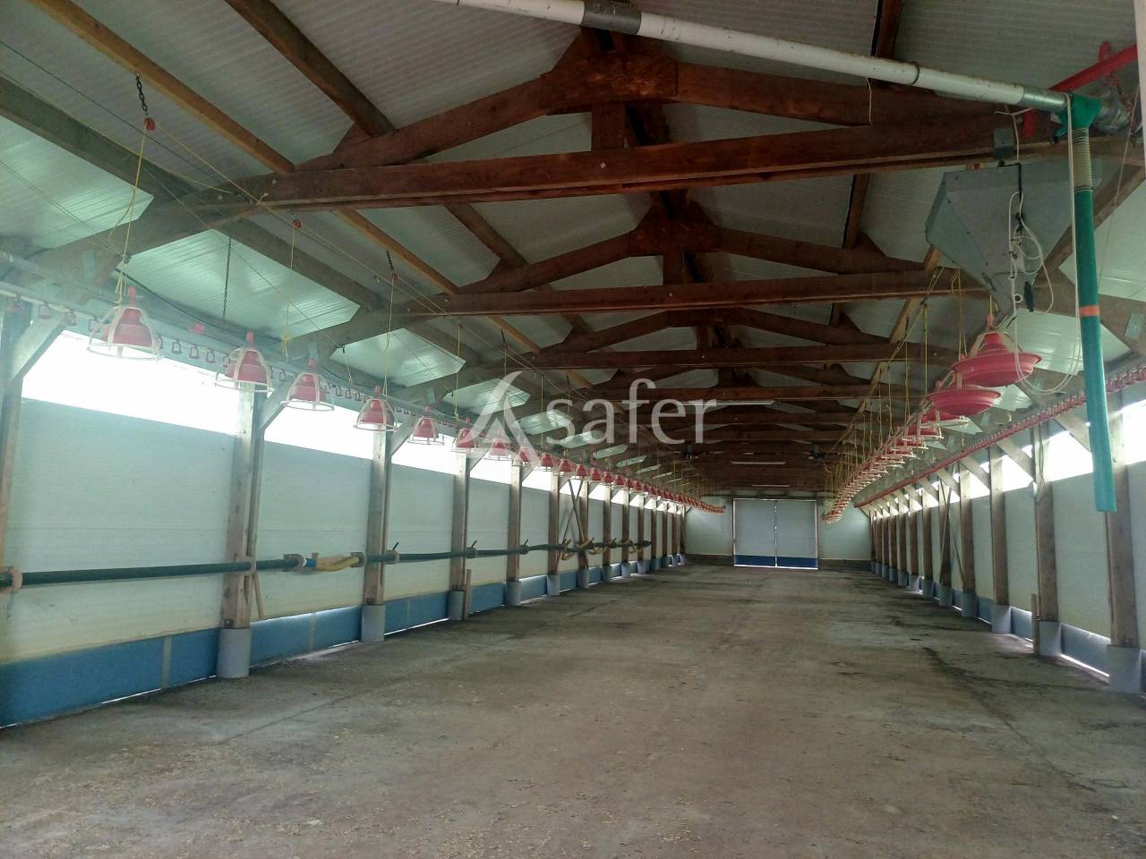 Landbouw bedrijf Koop Landes