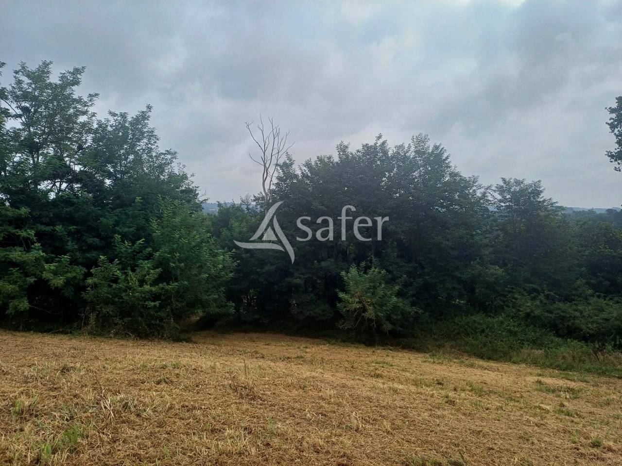 Landbouw bedrijf Koop Landes