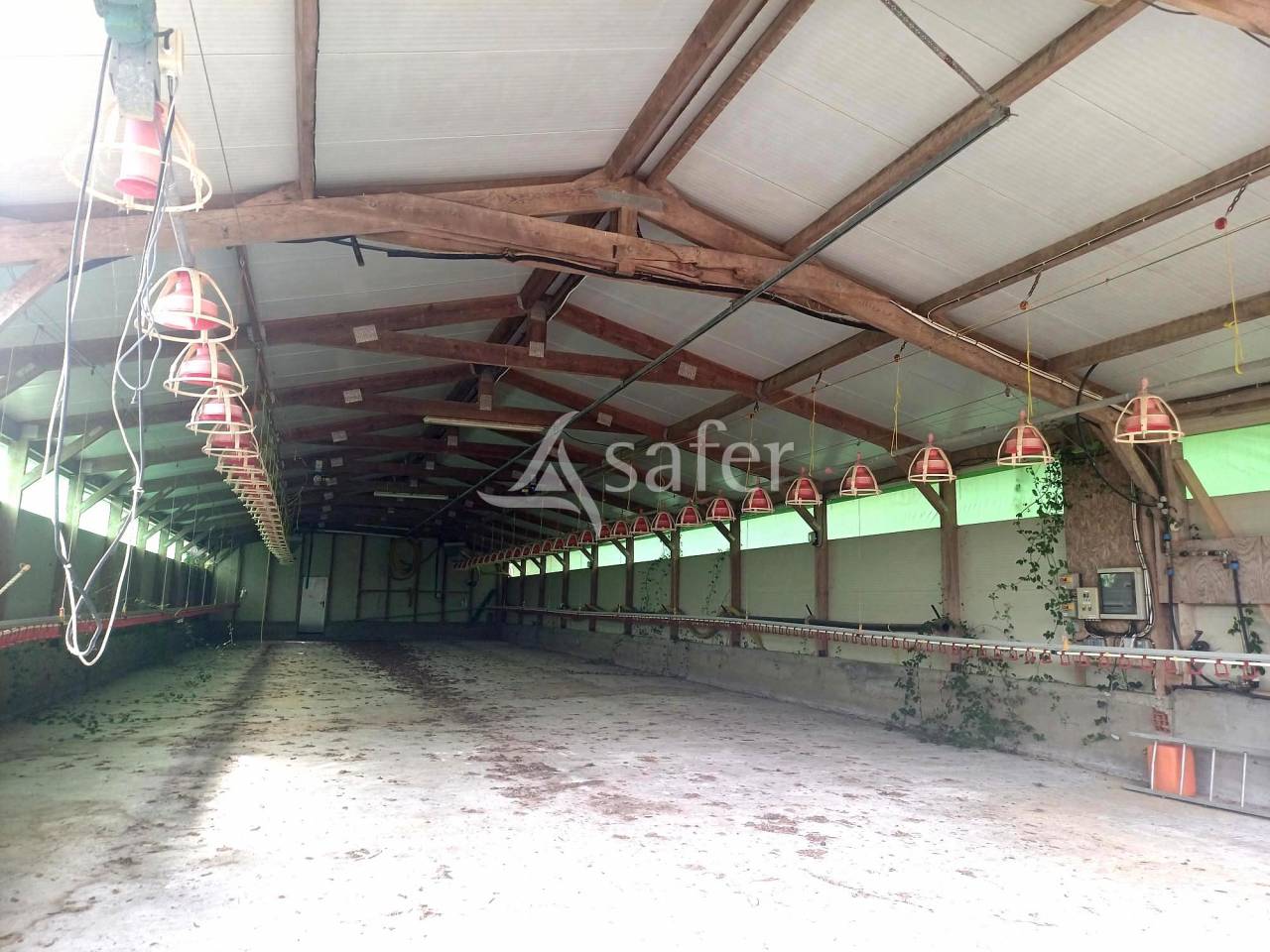 Landbouw bedrijf Koop Landes