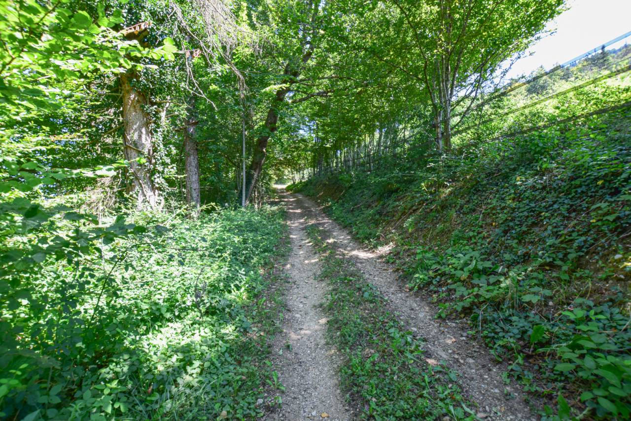 Hippisch vastgoed Koop Isère