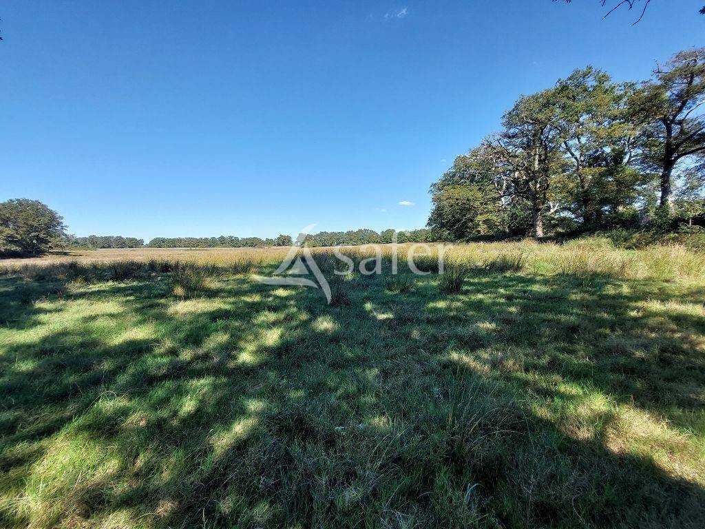 Ander plattelands vastgoed Koop Haute-Vienne