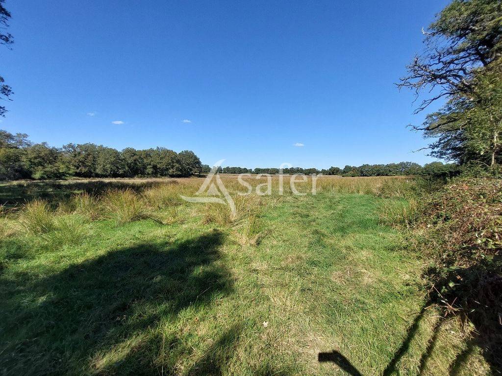 Ander plattelands vastgoed Koop Haute-Vienne