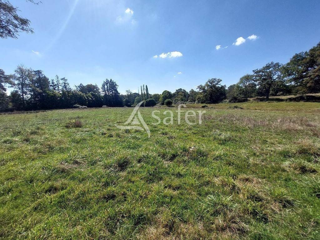 Ander plattelands vastgoed Koop Haute-Vienne