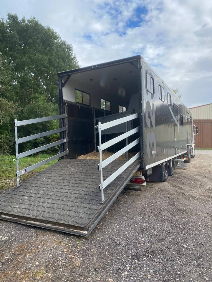 Zware paardenvrachtwagen (groot rijbewijs) Scania SCANIA 0 Tweedehands