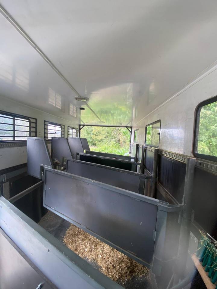 Zware paardenvrachtwagen (groot rijbewijs) Scania SCANIA 0 Tweedehands