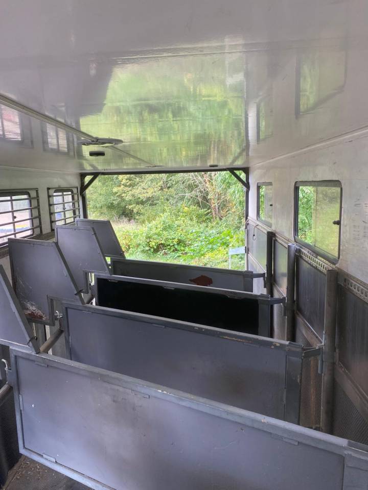 Zware paardenvrachtwagen (groot rijbewijs) Scania SCANIA 0 Tweedehands