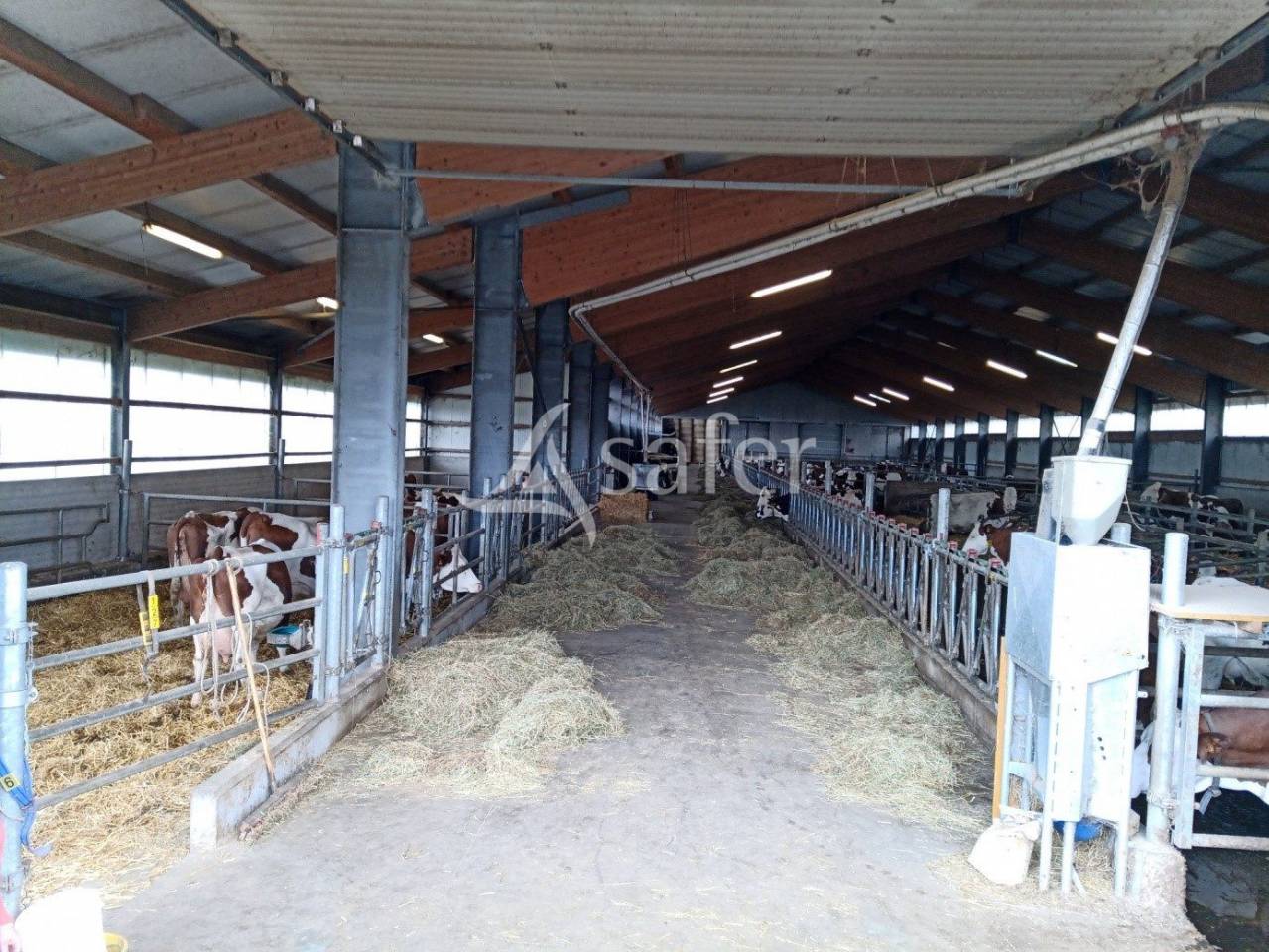 Landbouw bedrijf Koop Cantal