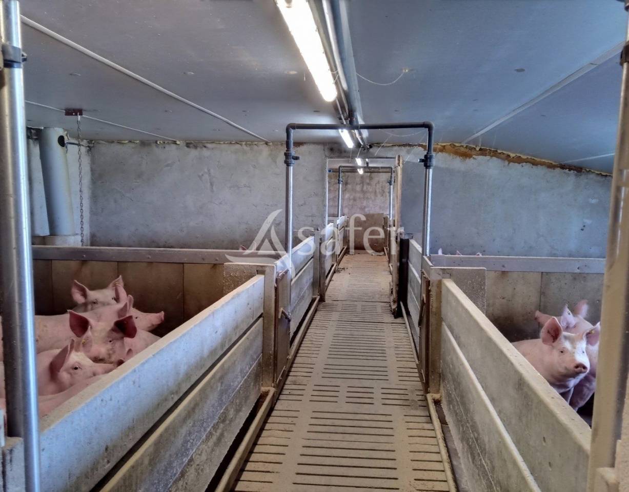 Landbouw bedrijf Koop Cantal