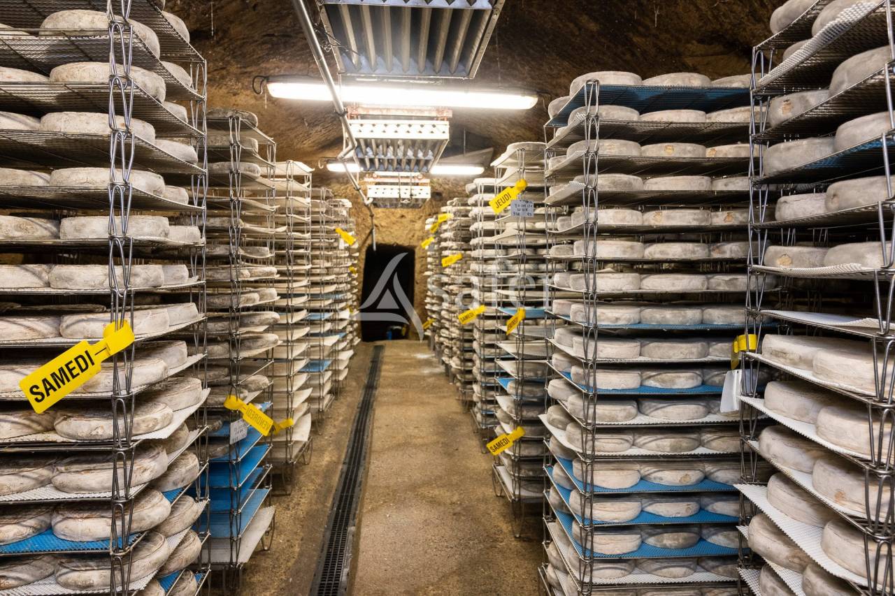 Landbouw bedrijf Koop Cantal