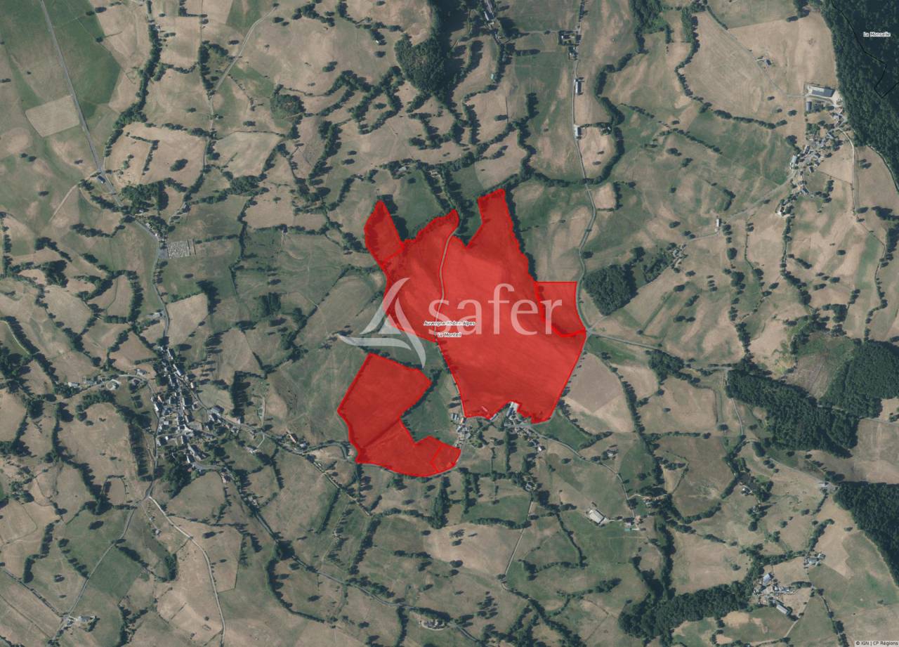 Landbouw bedrijf Koop Cantal