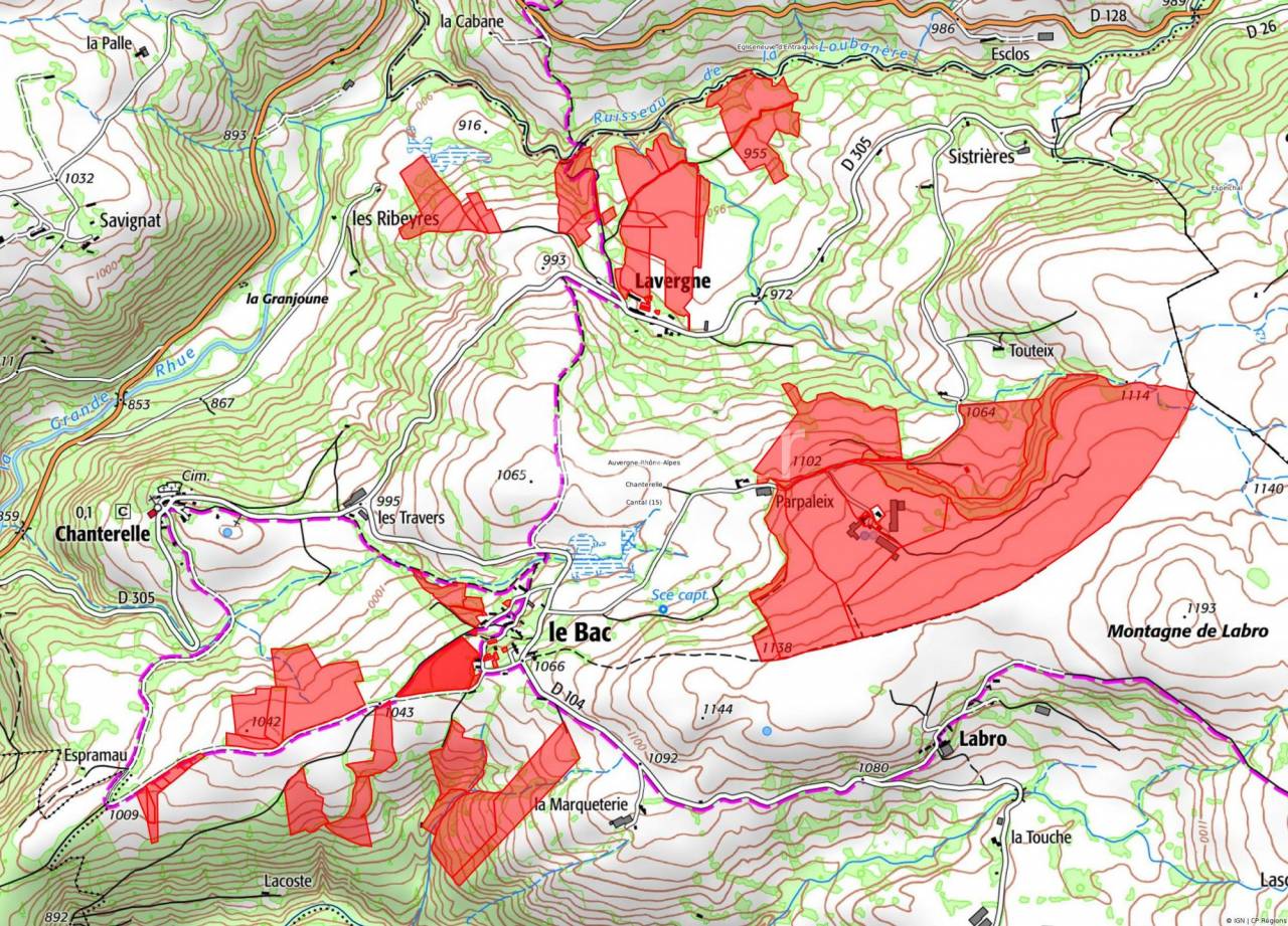 Landbouw bedrijf Koop Cantal