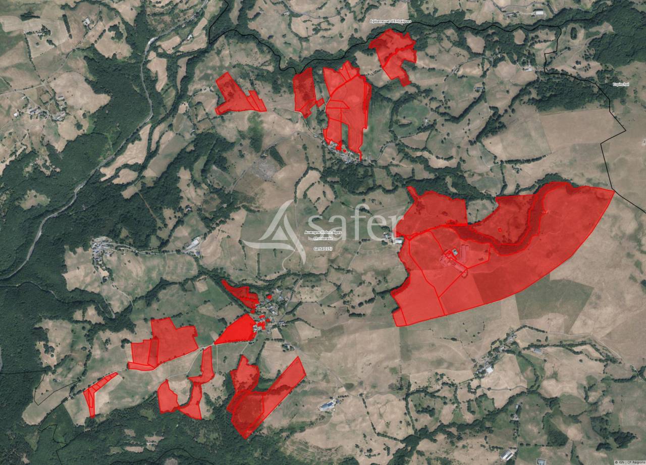 Landbouw bedrijf Koop Cantal